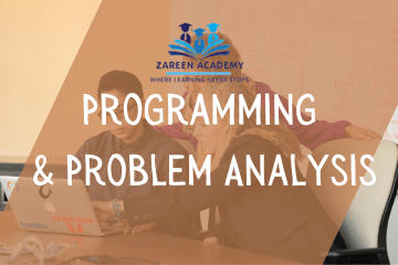 Programming and Problem Analysis